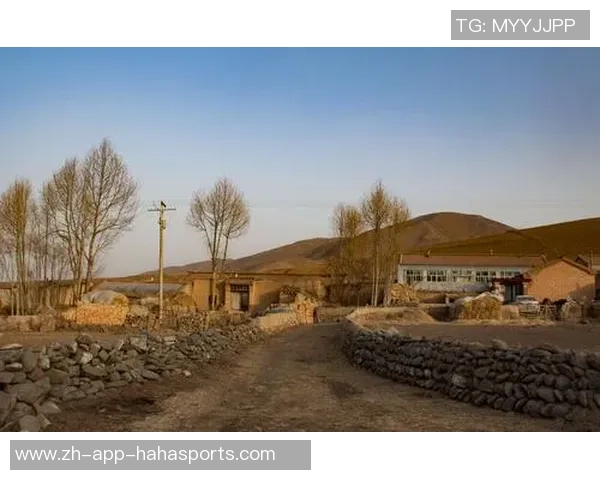 追寻梦想的足球游子在异乡的拼搏与成长之路